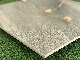 Home Construction Floor Wall Glazed Ceramic Porcelain Tile (SHA604) manufacturer