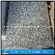 Cheap Polished Rosa Beta G623 Grey Granite Floor Tiles