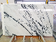 Bianco Carrara Statuario White Marlbe Slabs for Floor&Stair Paving