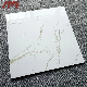 Modern Design Functional 600X600 Porcelain Floor Tiles