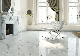 Factory Foshan Floor Glaze Polished Porcelanato Ceramic 24X48 Porcelain Tile manufacturer