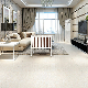 2021 China Solid High Quality Porcellanato Floor Tiles manufacturer