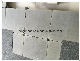Progeneus 22mm Silicate High Raise Floor Anti-Static Floor Panel