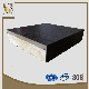 Tile Veneer Calcium Sulfate Floor Raised Floor