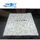  Fs1000/Fs1250 High Loading Capacity Raised Flooring with PVC Finished for Serve Room