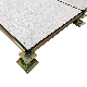 Good Wear Resistance Building Material Anti-Static Access Floor PVC Panel for Computer Room, Data Center