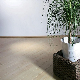  Indoor Horizontal Tongue and Groove Solid Bamboo Flooring