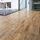 Premier Euro Click Laminate Laminate Flooring From China Everjade manufacturer