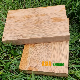 2440X1220X19mm Caramel Horizontal Grain 3 Ply Crossed Bamboo Furniture Boards manufacturer