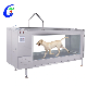 Factory Price Dog Treadmill Pet Hydrotherapy Treadmill Dog Underwater Treadmill manufacturer