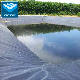 Rubber Membrane for Fish Pond Liners