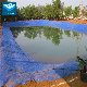 ASTM 0.5mm 1.0mm 1.5mm 2mm Blue HDPE /LDPE/LLDPE Geomembrane Pond Liner for Swimming Pool Artificial Lake Aquaculture Dam Landfill Fish Farming Pond Liner Price manufacturer