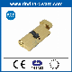 En1303 Brass Euro Profile Master Key Gmk Lock Cylinder for Wooden Door manufacturer