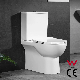 Europe Smart Bathroom Toilet Sanitary Ware Ceramic Floor Mounted Two Piece Wc manufacturer