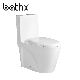 Best Wc Brand Dual Flushing System Fashion Bathroom Sanitary Wares with Seat Covers Water Closet Toilet (PL-3806)