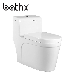 China Sanitary Ware Ceramic One Piece Toilet, China Market Toilet Water Closet