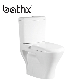  High Cost-Effective Two Piece Washdown Flushing P Trap S Trap Ceramic Bathroom Toilet (PL-6604)
