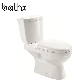 Ceramic Bathroom Sets Sanitary Ware Dual Flush Water Closet with Water Tank P Trap Two Piece Twyford Toilet Bowl (PL-6614)