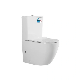 Australian Standard Water Mark P-Trap Bathroom Ceramic Sanitary Ware Two Piece Washdown Wc Water Closet Toilet Bathroom Closet manufacturer