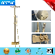  2021 New Color Brushed Gold Wall Mounted Square Bathroom Shower Faucet (BF-65242LG)