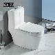  Nice Design Sanitary Ware Ceramic One Piece Toilet Set with Colored Line