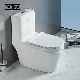 Nice Design Sanitary Ware Ceramic One Piece Toilet Set with Colored Line