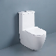 Customized Hotel Sanitary Ware Bathroom One Piece Ceramic Toilets Modern Washdown Flushing Wc Toilet Set