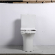 Bathroom Water Saving Ceramic Set Two Piece Toilet Sanitary Ware manufacturer