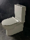 Sairi Sanitary Ware Manufacturer of Fashion Floor Mounted Ceramic Two-Piece Toilet manufacturer