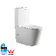 Watermark CE Sanitary Ware Bathroom Floor Standing Ceramic Two Pieces with Water Tank Toilet
