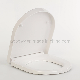 EU Urea Soft-Close Toilet Seat, D-Shape, Sanitaryware (Au145) manufacturer