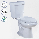 High Efficiency Sanitary Ware Ada Compliant Dual Flush Elongated Two Piece Toilet