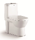  Modern Wc Sanitary Tornado Dual Flush One Piece Ceramic Bathroom Toilet