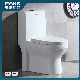 Chinese Manufacturer Bathroom Wc Water Closet Sanitary Ware Ceramic Elongated Commode Siphonic Flush One Piece Toilet