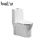  Popular Style Sanitary Ware Floor Mounted Bathroom Dual Flush Siphonic One Piece Toilet