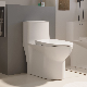  Hot Selling Water Saving Sanitary Ware Seat Bathroom One Piece Ceramic Toilet