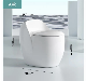  Sanitary Ware Mounted Bowl Rimless Matt White Ceramic Toilet Water Closet