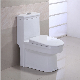  Double Siphonic Flushing Ceramic One-Piece Water Closet Wc