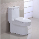 Double Siphonic Flushing Ceramic One-Piece Water Closet Wc