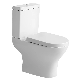 Sairi Popular Ghana Ceramic Toilet Close Coupled Water Closet with Slim Tank manufacturer