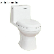 Dual Flush Siphonic One Piece Ceramic Toilet for Wholesale (SR-OT6618S) manufacturer