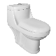 Sairi Wholesale One Piece Toilet manufacturer