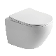 Sairi Concealed Cistern Ceramic Bathroom Wall Hung Wc Toilet manufacturer