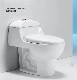  Sairi Ecuador Bolivia High Quality Manufacture Siphonic One Piece Toiletsbathroom White Ivory Blue Color Wc Toilet Set