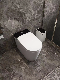 Electric One Piece Sensor Toilets Toilet Bidet Sanitaryware Toilet manufacturer