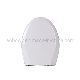 American Standard Elongated 100% New PP Toilet Seat White Color with Soft Closing System manufacturer