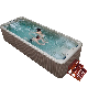 SPA Salt Water Swim SPA Jet Surf Pool Swimming Pool Hot Tub Combo