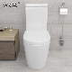  Modern P-Trap Dual Flush Siphonic One Piece Ceramic Bathroom Toilet Sanitary Ware