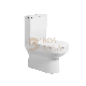 Western Design Rimless Washdown Two Piece Toilet Bathroom Ceramic Sanitaryware manufacturer