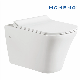  Hot Sale Water Closet Toilet Accessories Wall-Hung Toilet Wc Sanitary Ware
